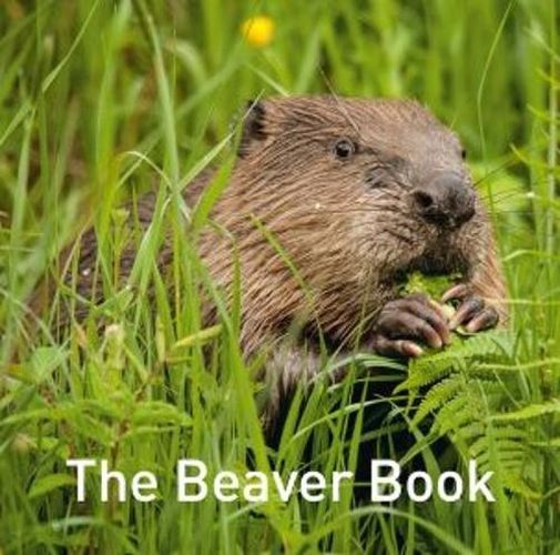 Cover image for The Beaver Book