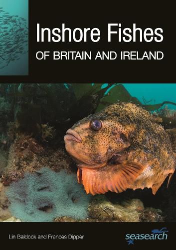 Cover image for Inshore Fishes of Britain and Ireland