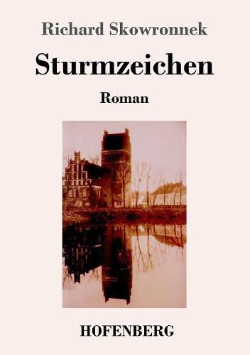 Cover image for Sturmzeichen: Roman