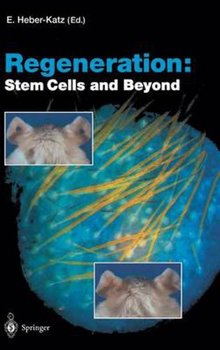 Cover image for Regeneration: Stem Cells and Beyond
