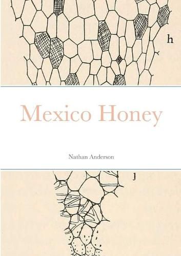 Cover image for Mexico Honey