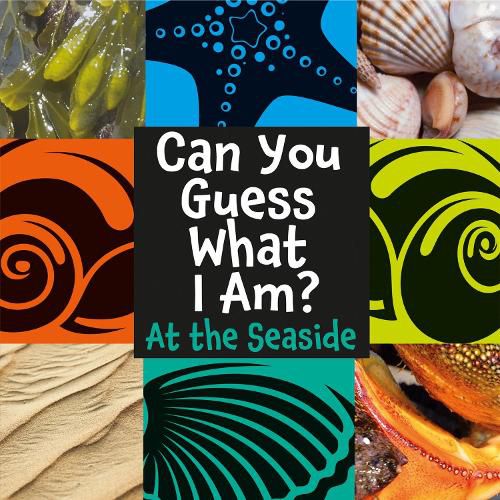 Cover image for Can You Guess What I Am?: At the Seaside