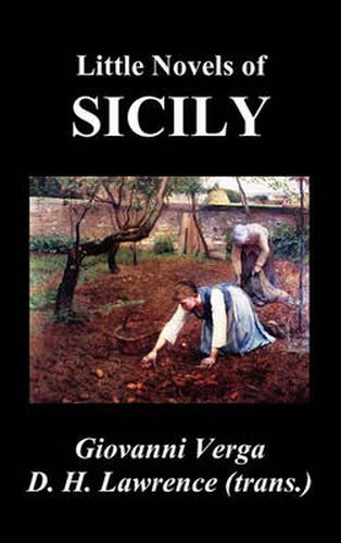 Cover image for LITTLE NOVELS OF SICILY (Novelle Rusticane)