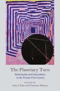 Cover image for The Planetary Turn: Relationality and Geoaesthetics in the Twenty-First Century