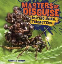 Cover image for Masters of Disguise: Amazing Animal Tricksters