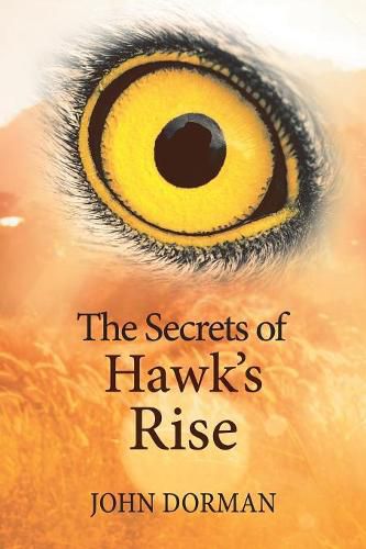 Cover image for The Secrets of Hawk'S Rise