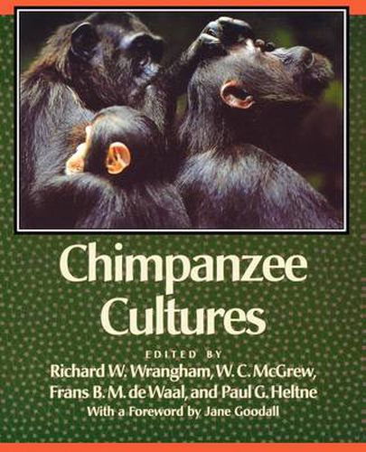 Chimpanzee Cultures