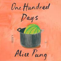 Cover image for One Hundred Days