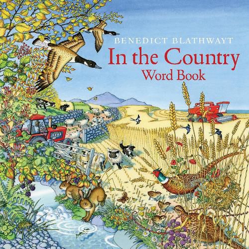 Cover image for In the Country