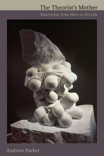 Cover image for The Theorist's Mother