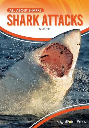 Cover image for Shark Attacks