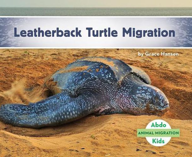 Cover image for Leatherback Turtle Migration