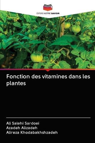 Fonction des vitamines dans les plantes