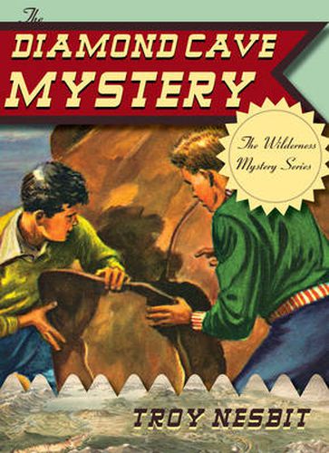 Cover image for The Diamond Cave Mystery