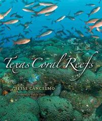 Cover image for Texas Coral Reefs