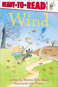Cover image for Wind: Ready-To-Read Level 1