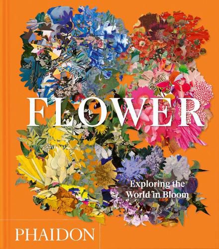 Cover image for Flower