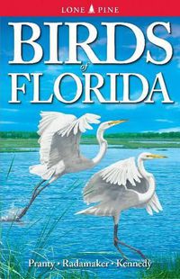 Cover image for Birds of Florida