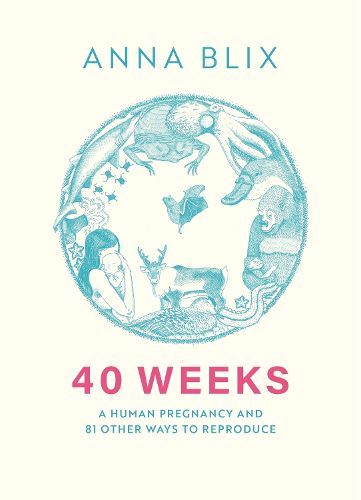 Cover image for 40 Weeks