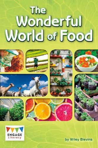 Cover image for The Wonderful World of Food