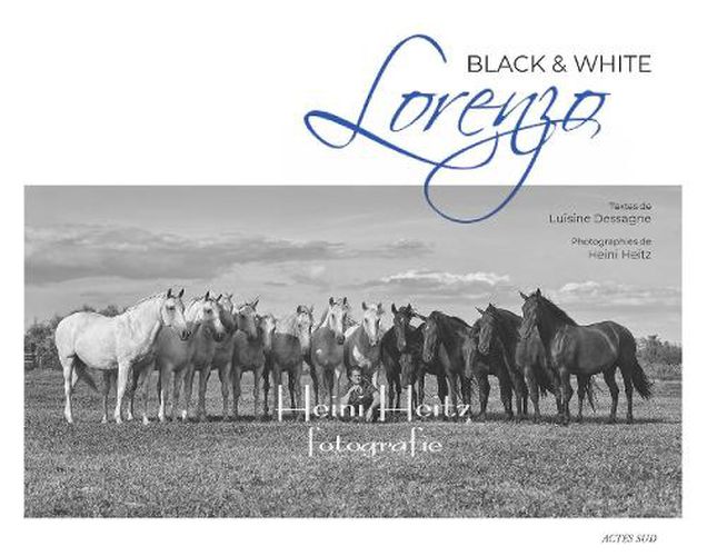 Cover image for Lorenzo Black & White