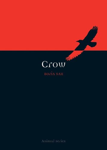Cover image for Crow