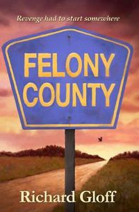 Cover image for Felony County