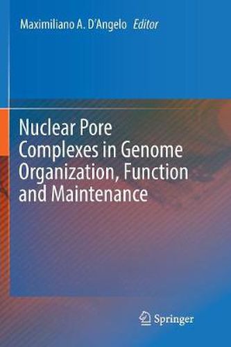 Cover image for Nuclear Pore Complexes in Genome Organization, Function and Maintenance