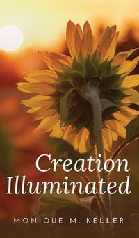 Cover image for Creation Illuminated