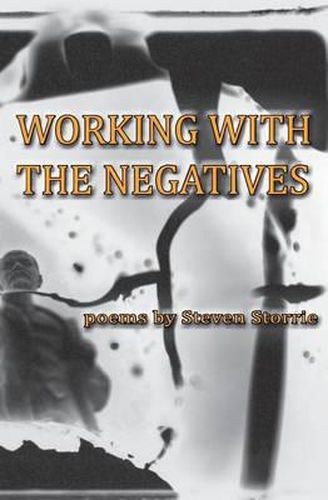 Cover image for Working With the Negatives
