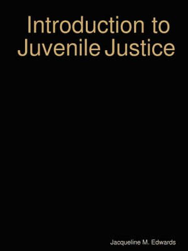 Cover image for Introduction to the Juvenile Justice System