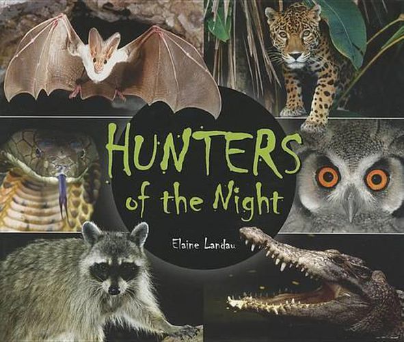 Hunters of the Night