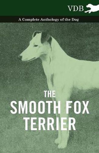 Cover image for The Smooth Fox Terrier - A Complete Anthology of the Dog