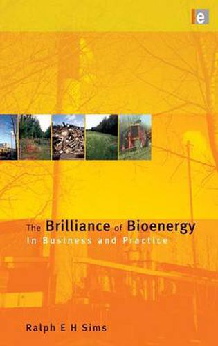 Cover image for The Brilliance of Bioenergy: In Business and In Practice