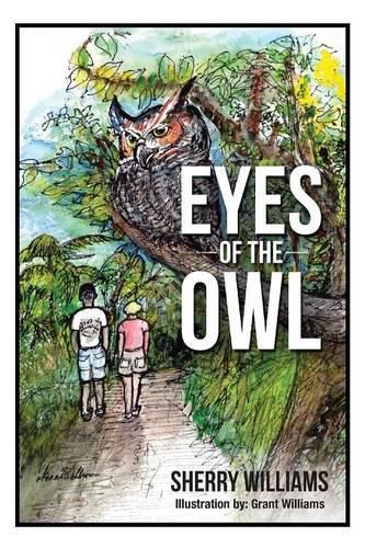 Cover image for Eyes of the Owl