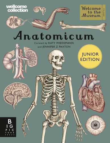Cover image for Anatomicum Junior