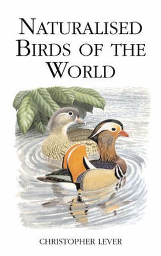 Cover image for Naturalised Birds of the World