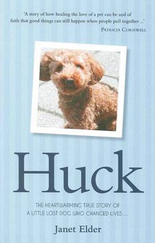 Cover image for Huck: The Heartwarming True Story of a Little Lost Dog Who Changed Lives and Happy Endings