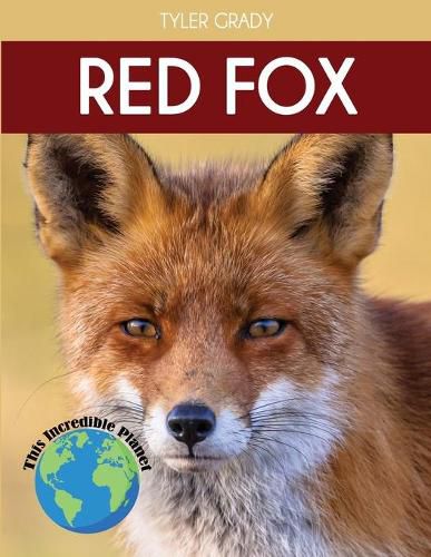 Cover image for Red Fox: Fascinating Animal Facts for Kids