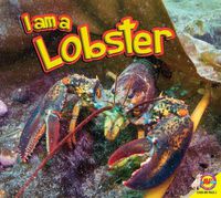 Cover image for I Am a Lobster