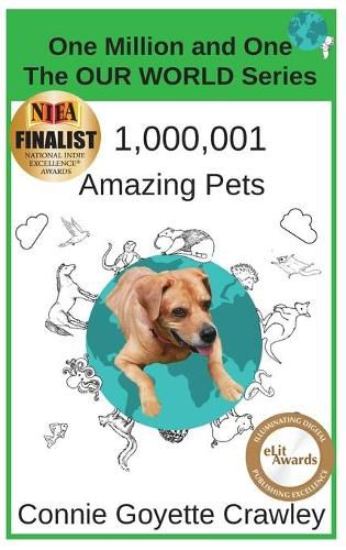 Cover image for One Million and One Amazing Pets