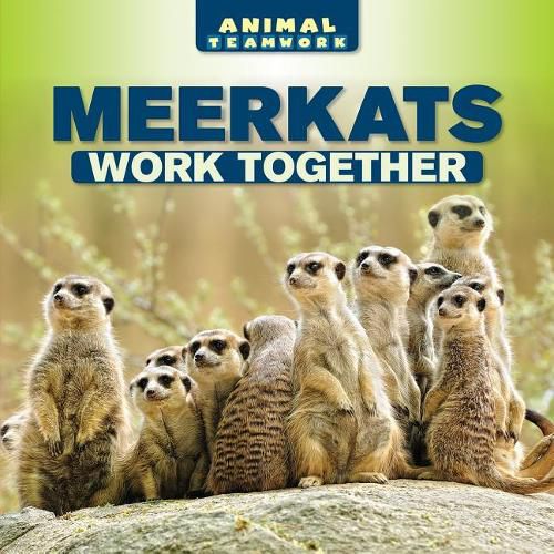 Cover image for Meerkats Work Together