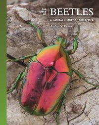 Cover image for The Lives of Beetles: A Natural History of Coleoptera