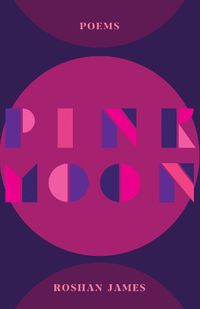 Cover image for Pink Moon