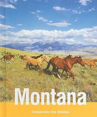 Cover image for Montana