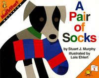 Cover image for A Pair of Socks