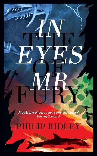 In the Eyes of Mr Fury