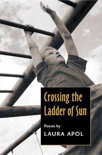 Cover image for Crossing the Ladder of Sun