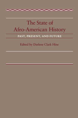 Cover image for The State of Afro-American History: Past, Present, Future