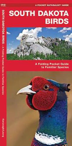 Cover image for South Dakota Birds: A Folding Pocket Guide to Familiar Species